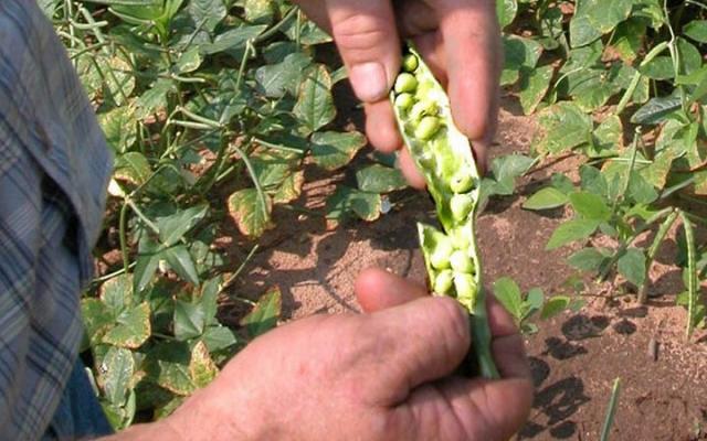 Pe 19 decembrie/Bursa locurilor de muncă pentru Portugalia şi Danemarca se va ţine la Târgu-Jiu