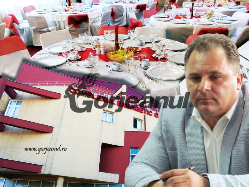 Pităroiu a promovat în funcție: Din economist la CE Oltenia, în cârciumar la Târgu-Jiu