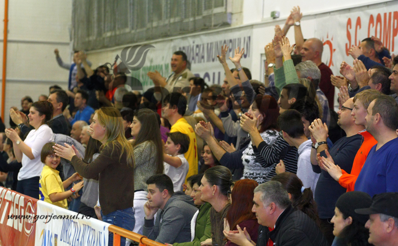 Baschetul profesionist, din nou la Tg-Jiu?