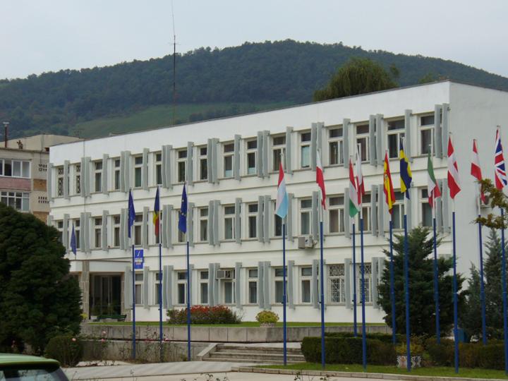 Gorjean pus pe drumuri de o funcționară neatentă din Orșova