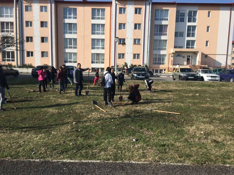 Clubul Rotary Târgu-Jiu plantează copaci