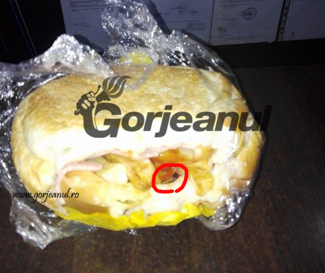 Sandvici cu urechelniţă, cumpărat de un elev al LPS Târgu-Jiu