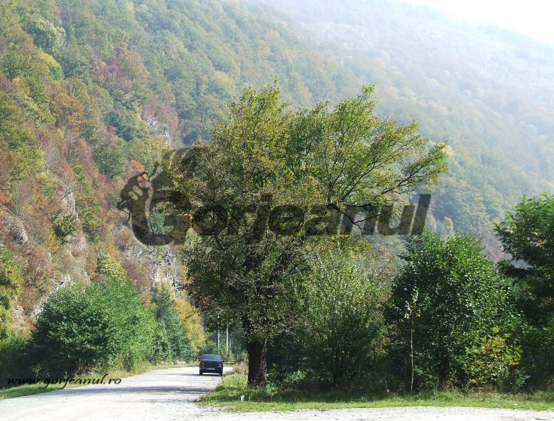 Prin Țara Jiului de Sus – Spiritul muntelui