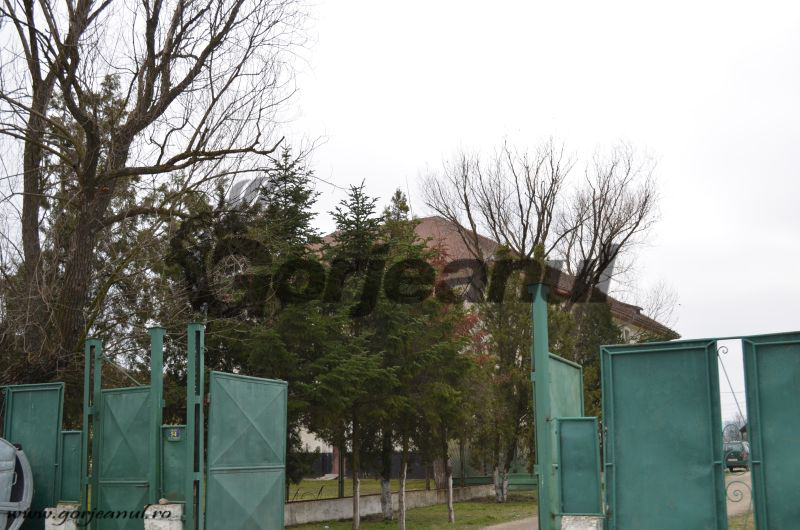 Gorjul are peste 8.200 de bolnavi psihic