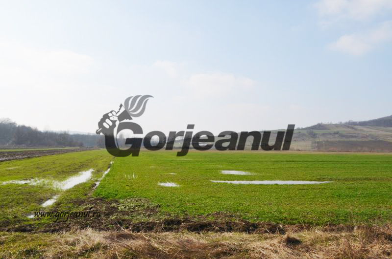 Bani de la APIA Gorj pentru micii fermieri