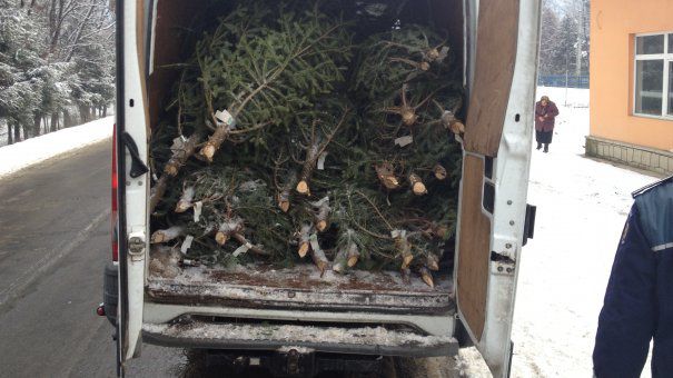 Vânzător de brazi, prins în trafic: Nu avea documente