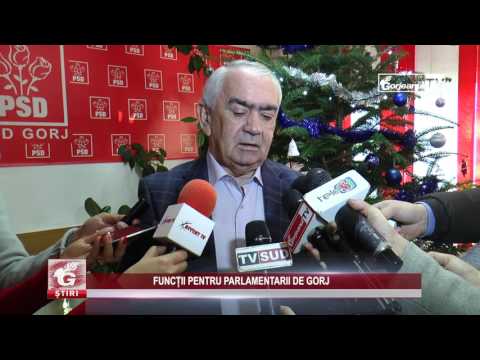 FUNCȚII PENTRU PARLAMENTARII DE GORJ