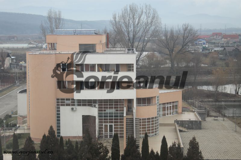 Programe noi de studiu la UCB Târgu-Jiu