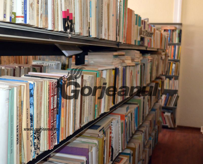 biblioteca novaci (2)