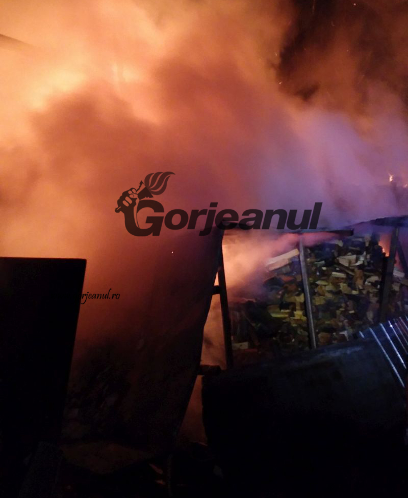 incendiu ursati (1)