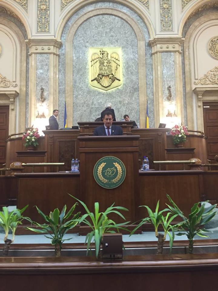 Senatorul Iriza l-a avizat favorabil pe noul ministru al Energiei