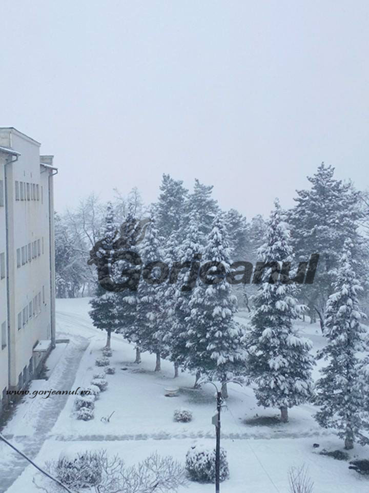 Peste o sută de gorjeni se tratează de tuberculoză la Spitalul de Pneumoftiziologie