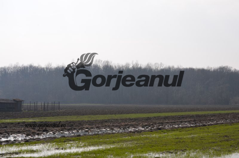 Autorizări la plăţile finale pentru fermierii din judeţ