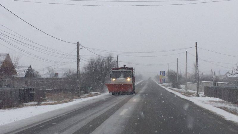 Poleiul, combătut în zonele cu probleme