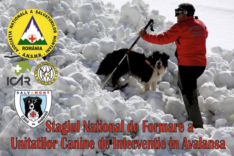 Recco de la Salvamont Gorj a promovat cu brio Stagiul Național de Formare al Unităților Canine de Intervenție la Avalanșă