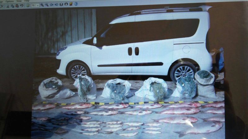 17036097_1468987153161274_906155384_o