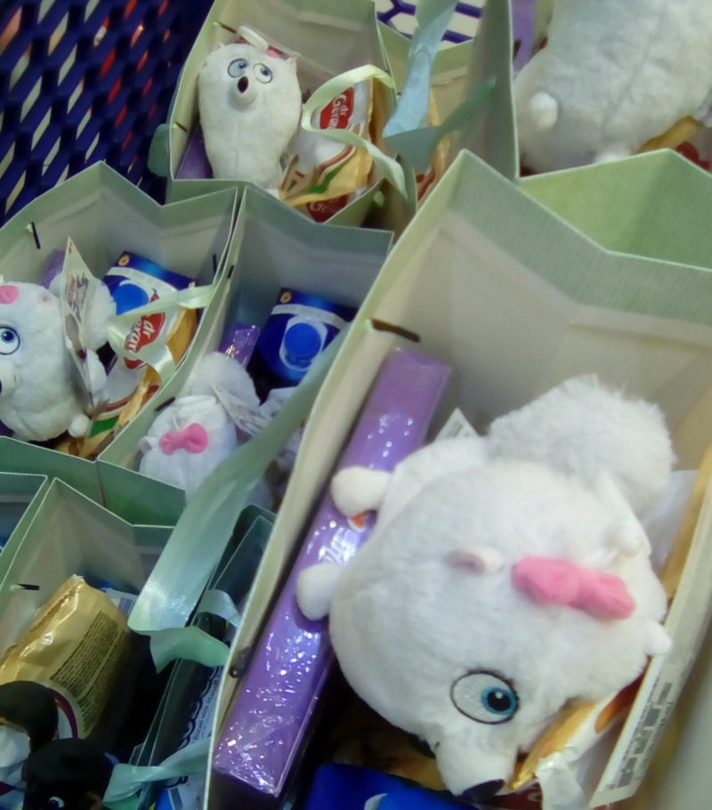 Bucurii pentru copiii bolnavi de cancer, din partea Asociației “Sfânta Ana”