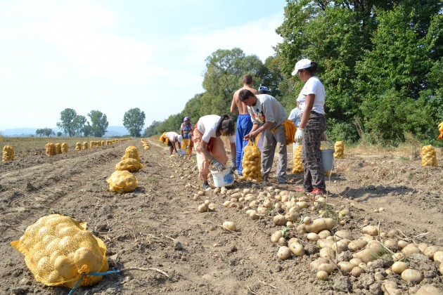 OJFIR Gorj încă primeşte proiecte pentru finanţare pe sesiunile deschise în 2016