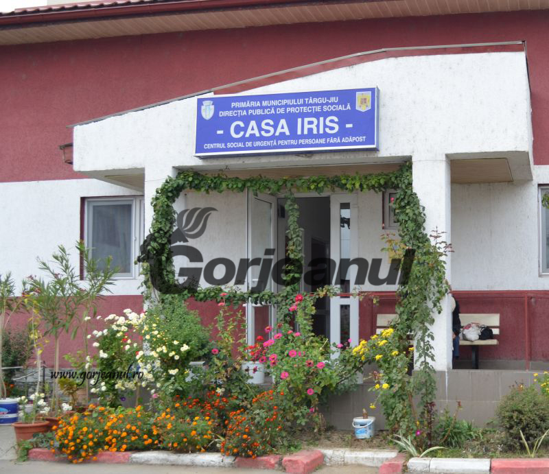 S-au adăpostit de frig la Casa Iris!