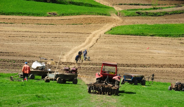 Se depun proiecte la APIA Gorj pentru submăsura destinată micilor fermieri