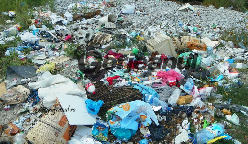 Amenzi de peste 1,3 milioane de lei, aplicate de Garda de Mediu