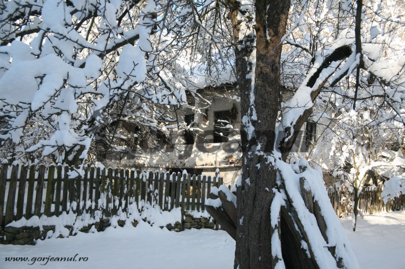 Eveniment editorial – Iarna la Sohodol – Album de Doru Dădălău