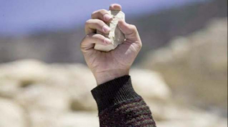 Judecat după ce și-a atacat vecina cu o piatră