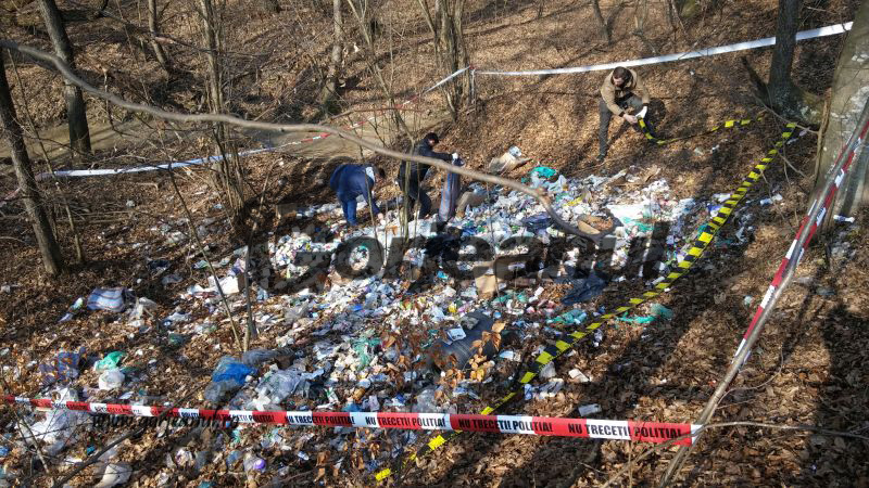 Medicamente aruncate în pădure