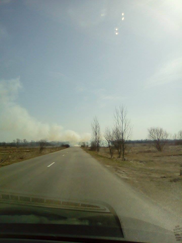 17105303_1476383189088337_319544754_n