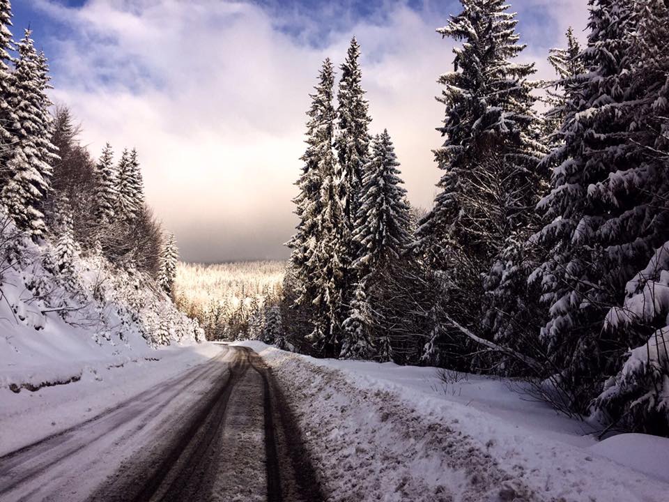 17201011_822251977912863_4727507714339282100_n