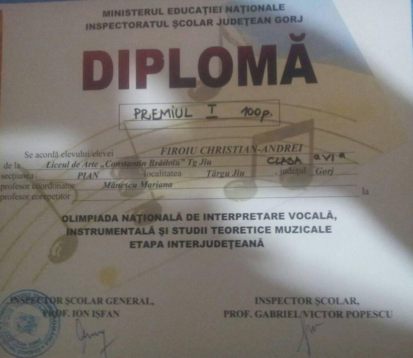 Câștigătorii etapei zonale a olimpiadei instrumentale 2017