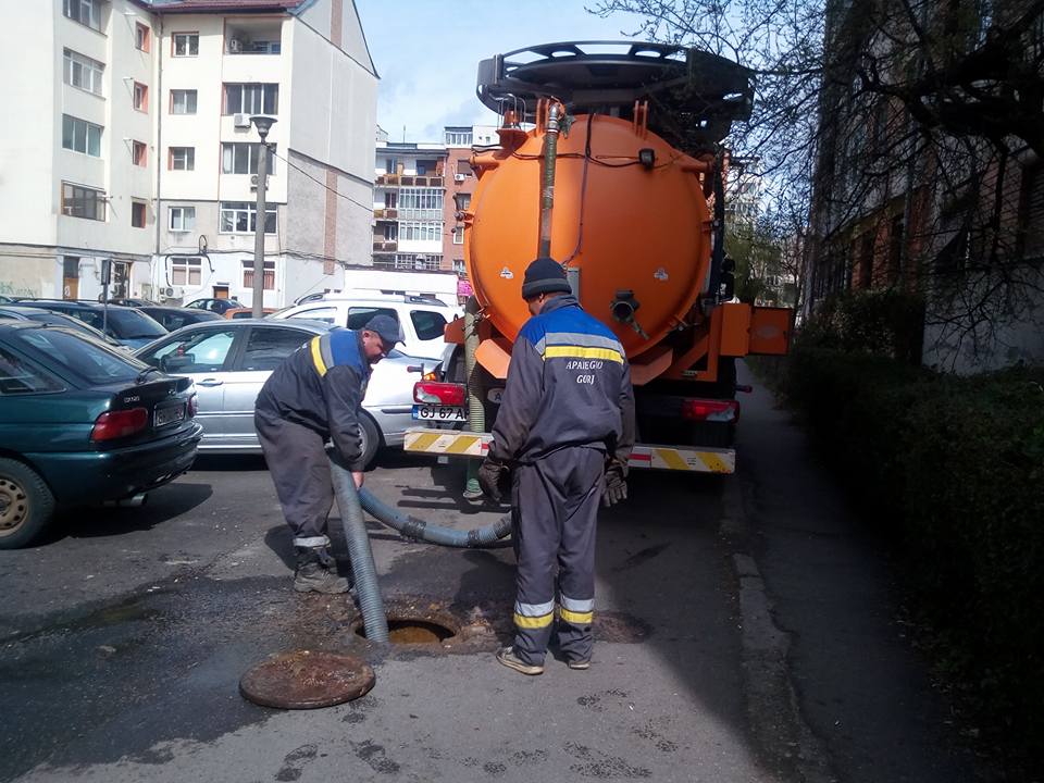 17361830_192261121263986_8443251600823965411_n