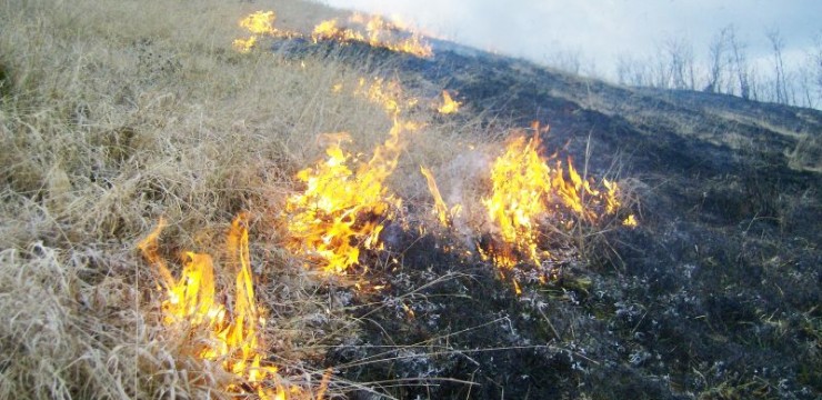 Cercetat pentru distrugere după incendiu