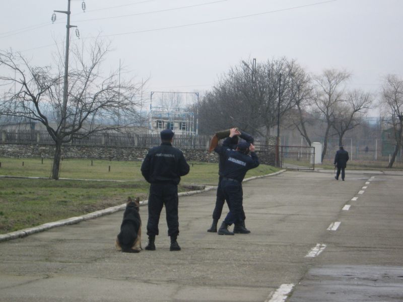 Demonstrații de luptă ale jandarmilor, la Târgu-Jiu: Participă și Gruparea de Jandarmi Mobilă «Frații Buzești» Craiova