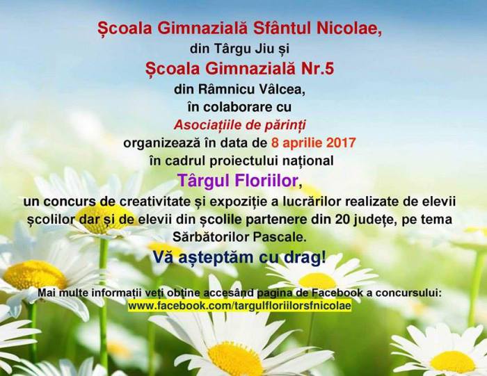 Concurs național de creativitate la Școala Gimnazială ”Sfântul Nicolae” Târgu-Jiu