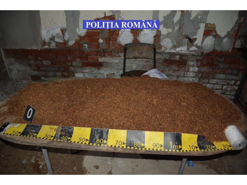 FOTO: Ce au descoperit mascații în urma descinderilor din Gorj