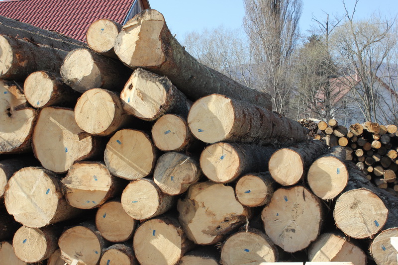 Sibian prins în timp ce transporta lemne furate