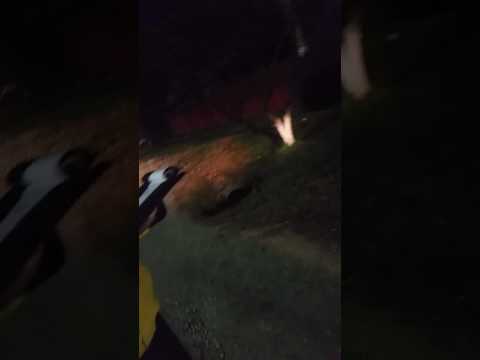 VIDEO SCANDALOS: Reacția unui polițist tras la răspundere pentru că a trecut strada prin loc nepermis