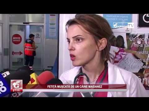 FETIȚĂ MUȘCATĂ DE UN CÂINE MAIDANEZ