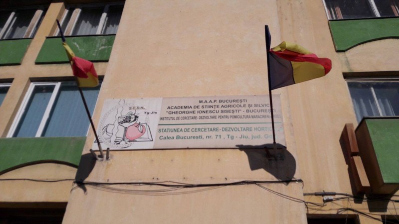 Clădirile din Vladimir şi Bălăneşti ale Staţiunii de Cercetare-Dezvoltare Horticolă, scoase la licitaţie