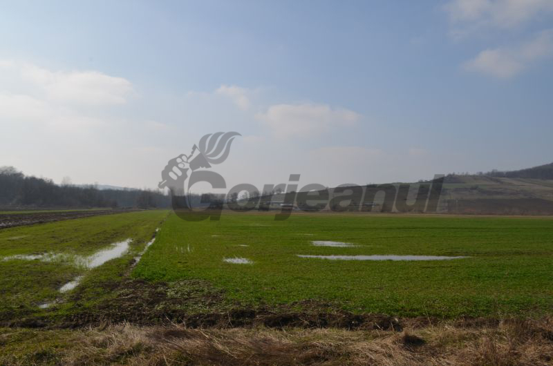 Peste 6.100 de fermieri şi-au depus cererile unice de plată, la APIA Gorj