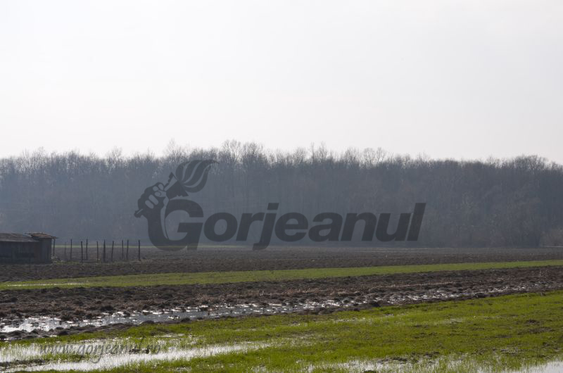 Pe bază de programări / Depunerea cererilor unice campania 2017, a început ieri, la APIA Gorj!