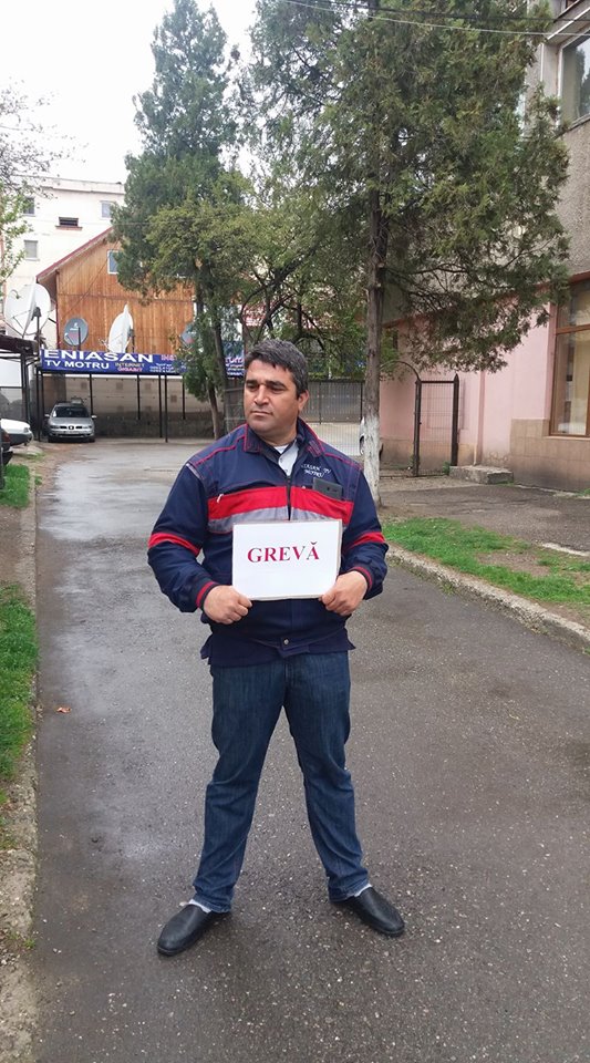 17523214_1490615907667570_8472158013649954650_n