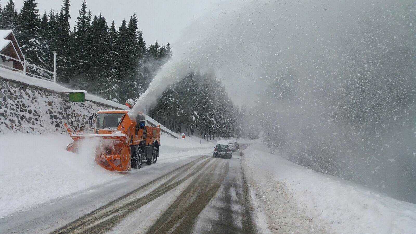 18083621_1646189518728901_422519808_o