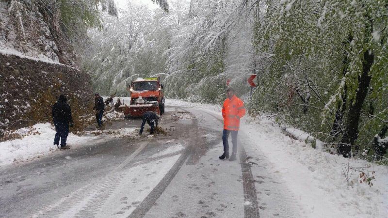 Directorul DRDP Craiova, la deszăpezire în Gorj