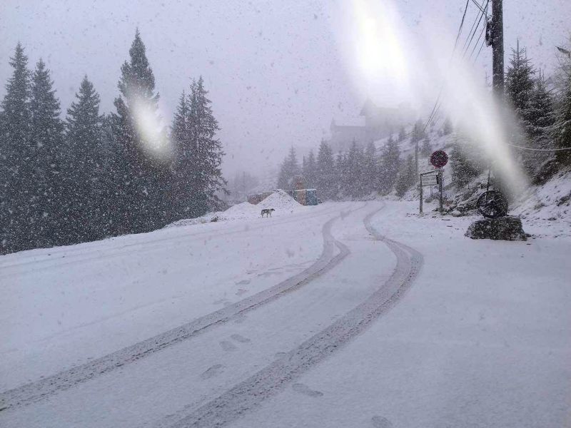 Ninsoare de primăvară la Rânca