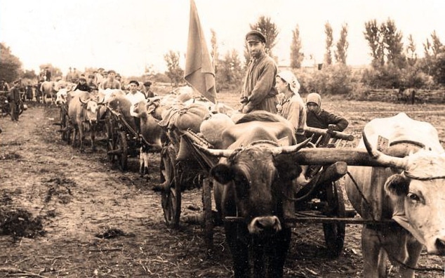 Rezistenţa la colectivizare în Gorj – un capitol de istorie imediată