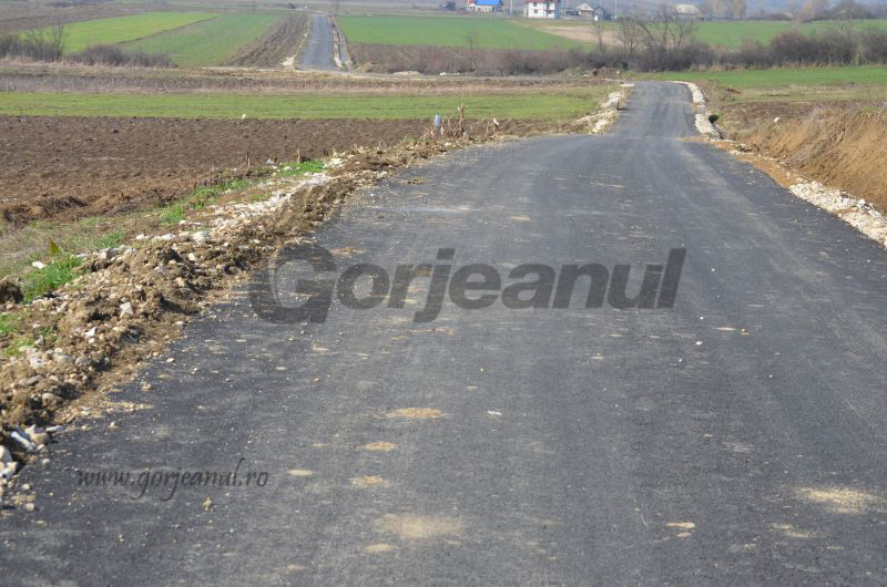 Proiecte în sectorul rural de sute de milioane de euro, depuse la AFIR