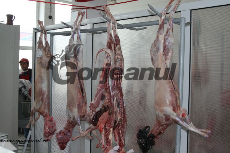 Carnea de miel, în atenţia inspectorilor sanitar-veterinari