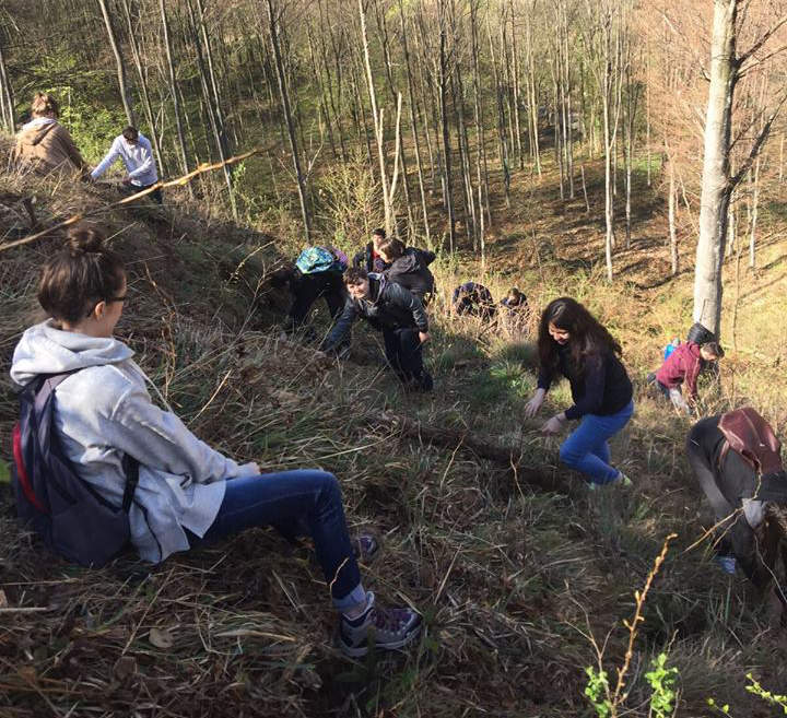 Campanie de împădurire în zona Obștei Suseni